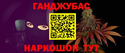 тгк Бийск