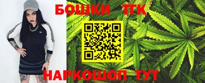 тгк Бийск