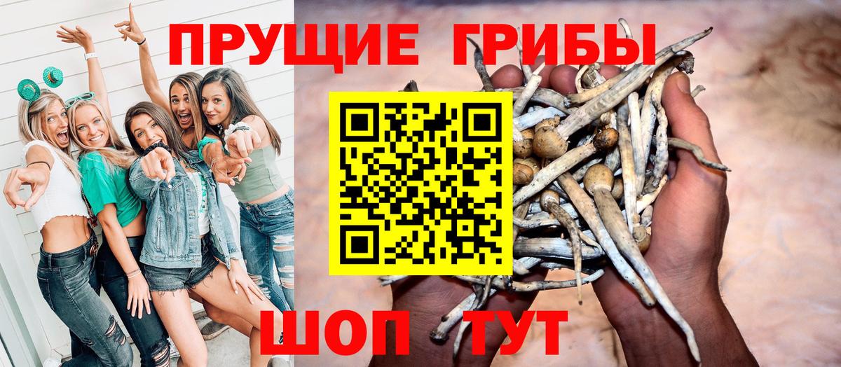 Псилоцибиновые грибы мицелий Каспийск
