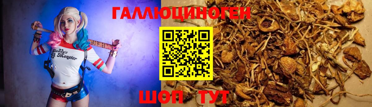 Каспийск  Галлюциногенные грибы мухоморы  купить   Галлюциногенные грибы Psilocybe  Вход с VPN 